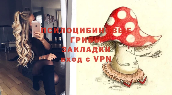спайс Богородицк