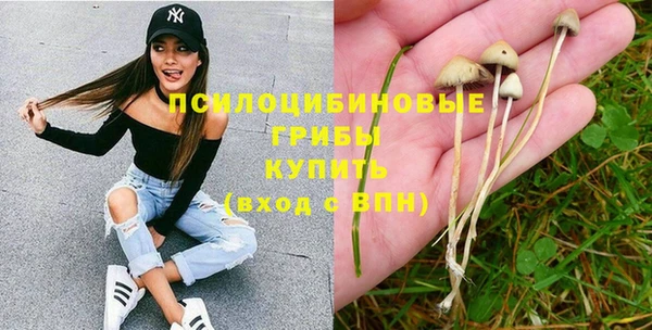 спайс Богородицк