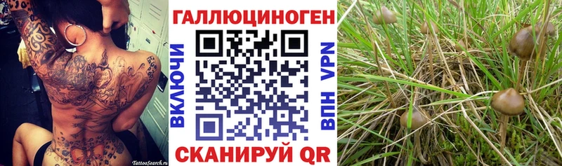 Галлюциногенные грибы MAGIC MUSHROOMS  Ижевск 